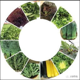 2019 創意云南 文化藝術產業博覽會尋甸縣展區等你來