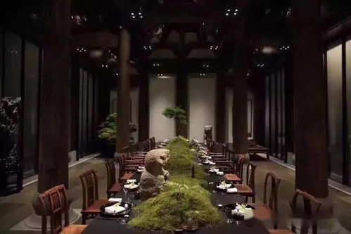 盆景 馬云私宴上的常客
